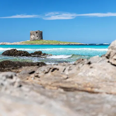 Capo Falcone Charming Apartment-2 By Interhome Διαμέρισμα